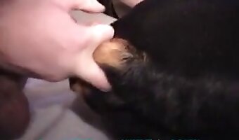 animal porn xxx clips, beastporn