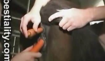 hardcore, cum on face