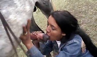 wife, animal porn xxx clips