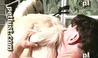 animal, nasty