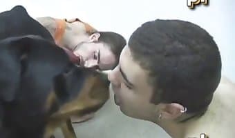 zoosex, amateur dog sex