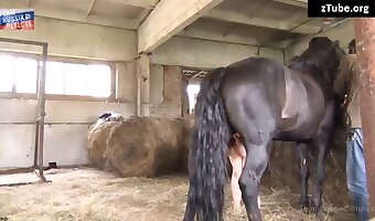 free bestiality sex video, zoosex