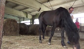free bestiality sex video, horse