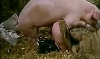 zoophile, bestial scenes